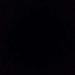 Meet your Posher, Daisy